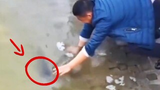 Saya penasaran kenapa selalu ada ikan yang berkeliaran di pantai. Ternyata ada beberapa ikan yang ba