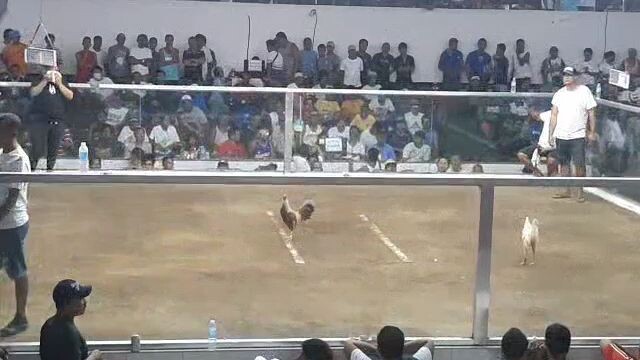 2 hits champion using full bros sweater grey. 1st fight