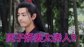 【剧版忘羡ABo】湛王的质子小娇妻9
