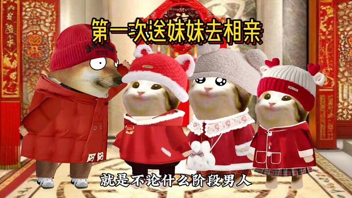 当过年送妹妹出去相亲时#cheems
