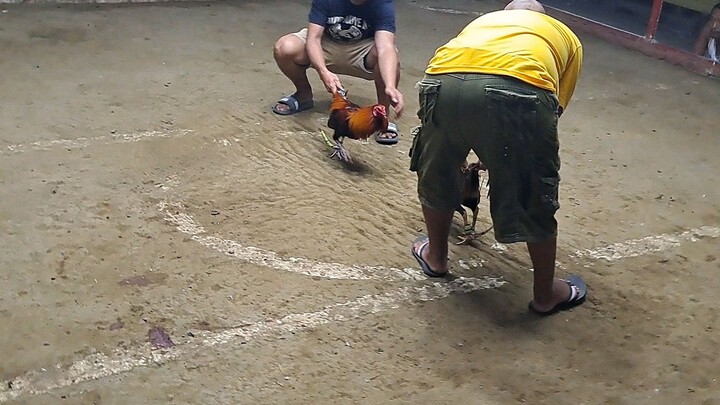 3rd fyt Boston sweater win , 3 wins tnx lady luck