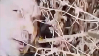 Ukrainian soldiers used a drone to capture footage of a Russian soldier pretending to be dead.