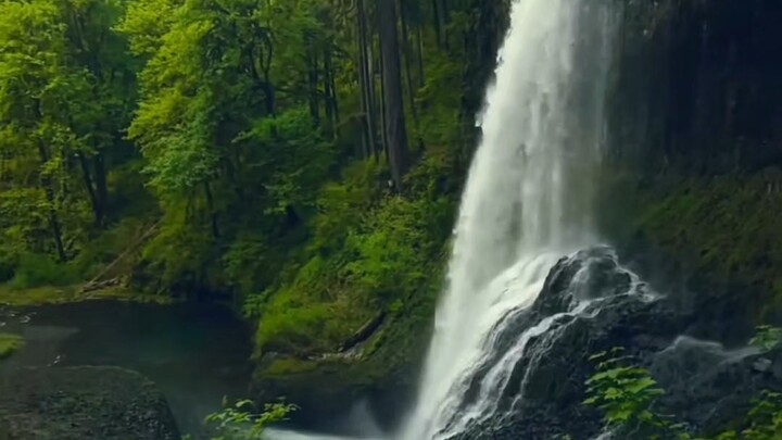 New Zealand