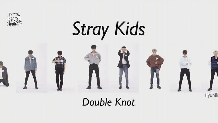 【8kids】Stray Kids-Double Knot (versi tari)