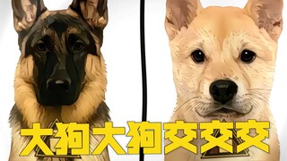 大狗大狗交交交