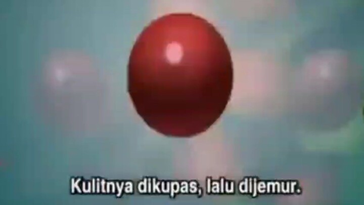 buah sawit