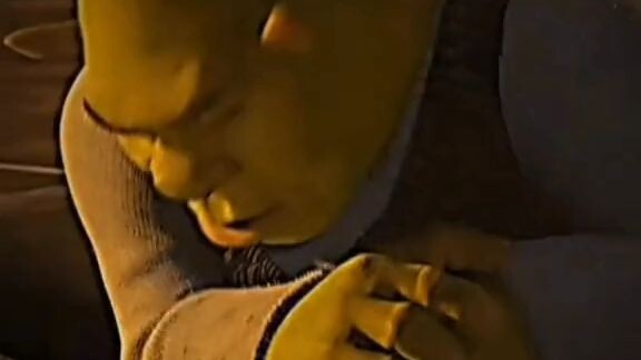 Shrek rizz