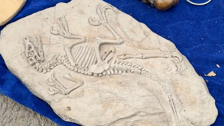 Fills the gap of no dinosaurs at street stalls!