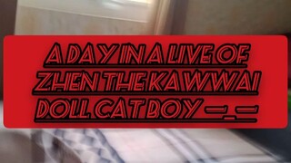 a day in A live of Zhen the Kawwai doll cat boy!!!