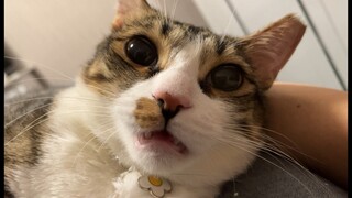 Berbagi seorang anak durhaka