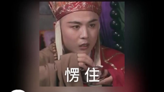 40斤的猫咪重获新生，减肥成功后的它更健康了