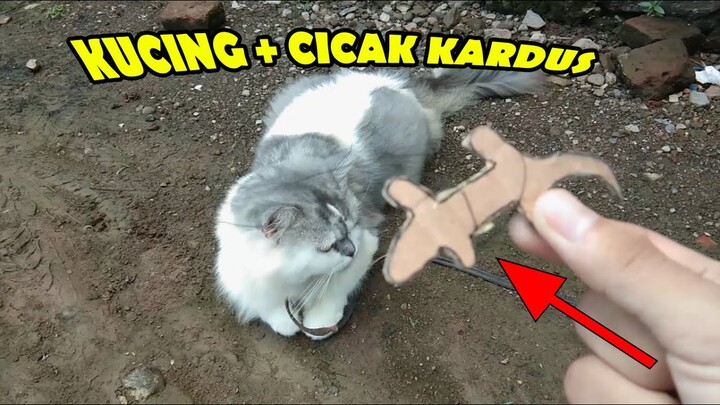 BIKIN MAINAN CICAK BUAT KUCING 🐈💓 - MAINAN KUCING DARI KARDUS