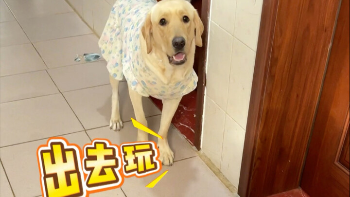 狗：不对啊，我还没吃饭呢