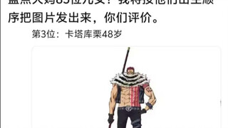 海贼王大妈的那些儿女评价