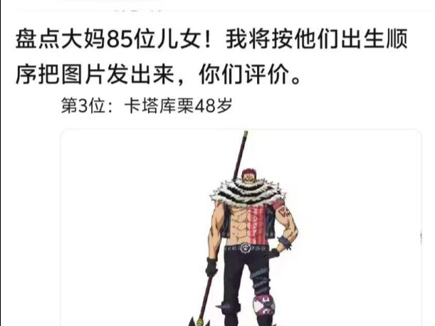 海贼王大妈的那些儿女评价