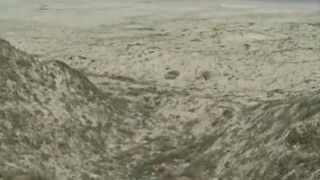 Hoang đảo kinh hồn