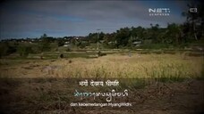 NET. BALI - (2017.12.05)