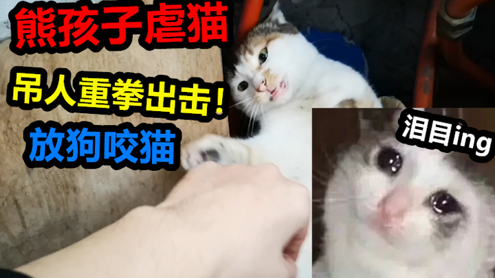 Bocah nakal memotong cakar kucing, petugas langsung melabraknya dengan anjing, siapa sangka anjingny