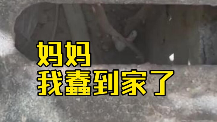 أمي، أنا غبي لدرجة لا تُحتمل!