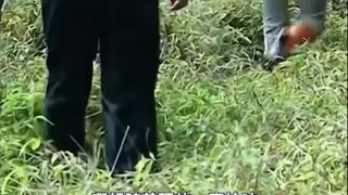 原来还没到境外啊#影视经典 #精彩片段 #名场面