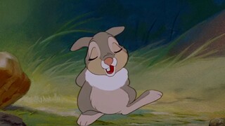 [Lu Chen] Little rabbit memorizes the house rules. He has to memorize a lot of house rules before go