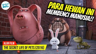 KETIKA HEWAN PELIHARAAN MELAWAN GENG HEWAN!! | ALUR CERITA THE SECRET LIFE OF PETS (2016)