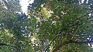 beautiful nature 🥰
