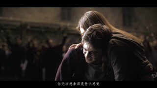 【哈利 | 爱 与 能力】