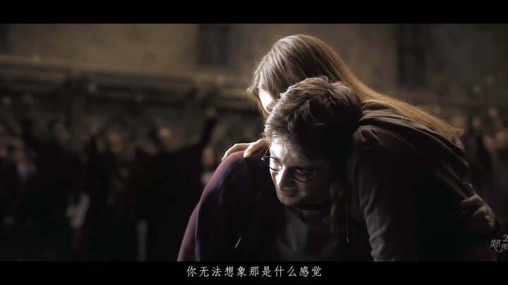 【哈利 | 爱 与 能力】