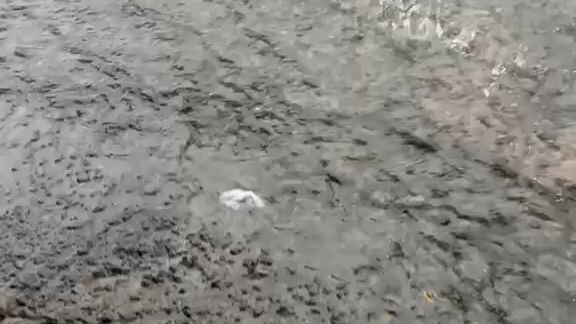 la lluvia en cuscatlan el salvador