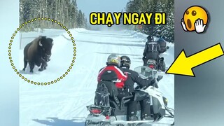 Cười sặc sụa với những màn rượt đuổi và ta.i n.ạn hài hước