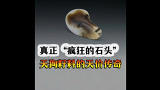Now this is what we truly call "crazy stones." Hetian jade Tiangou seed material—legendary treasures
