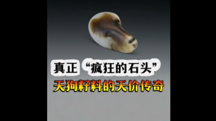 Now this is what we truly call "crazy stones." Hetian jade Tiangou seed material—legendary treasures
