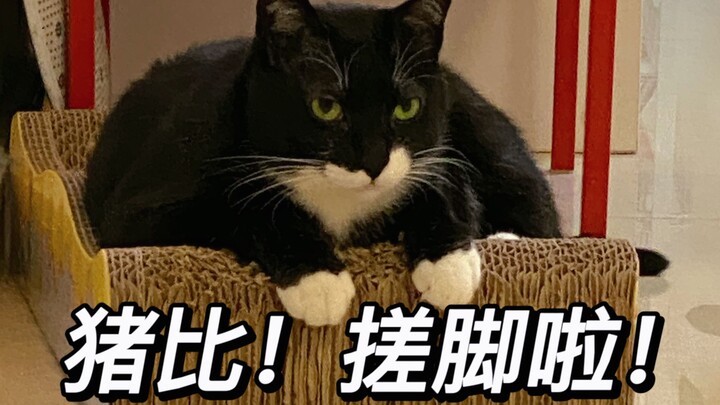 Trở lại nghề cũ! Bản thưởng thức nguyên chất khi nắn chân!