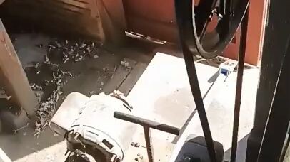 homemade press homemade cider