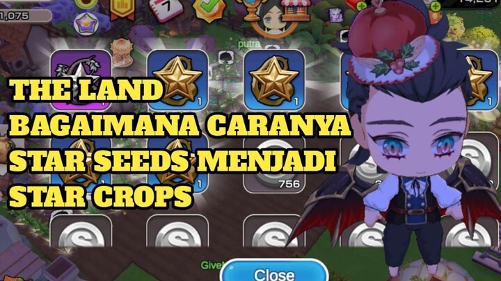 BEGINI CARANYA DAPAT STAR SEED DAN STAR CROP - THE LAND ELF CROSSING