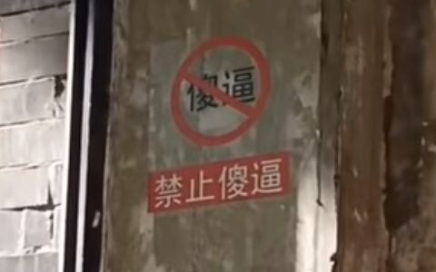 我爱死这个开头了