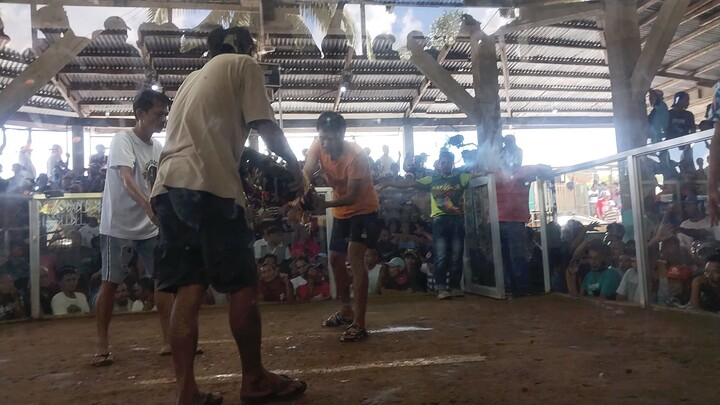 magaling talaga  pumalo manok namen.