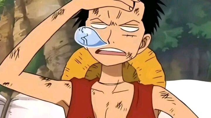 meme Luffy one piece 😂
