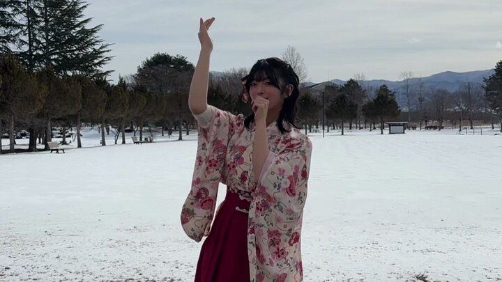 Tianyin Jin藤 | TikTok | 2026.2.10