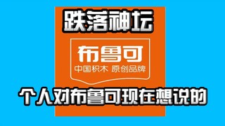 以前射出的子弹现在终于正中眉心，关于一些个人与布鲁可相关的想法