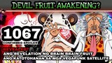 One piece 1067: Dr vegapunk devilfruit awakening (revealed?) realm kuma