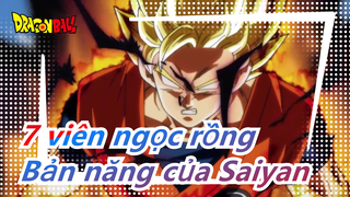 7 viên ngọc rồng|[Tổng hợp Hoành tráng] Chiến đấu là bản năng của Saiyan!