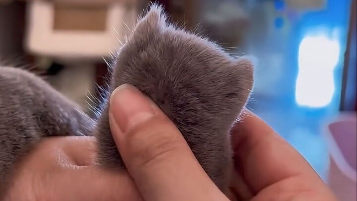 Only recommending this to cute people!