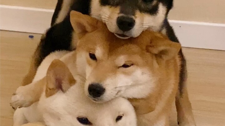 Today, we’re a loving family.