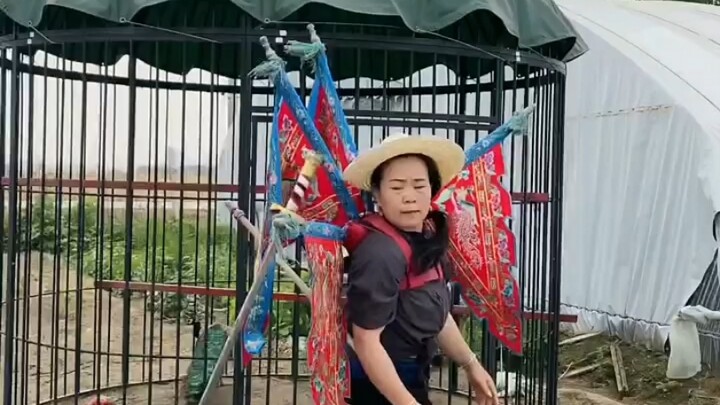 Drama wanita pensiunan yang benar-benar jago kungfu!