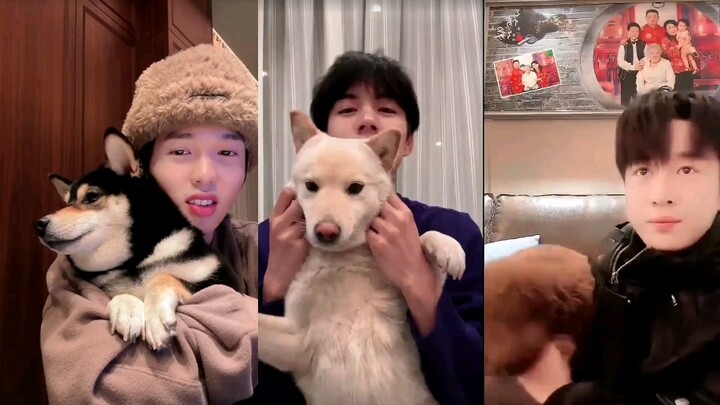 Ten勤Tian | The noble Miss Lizhi, the hardworking Ms. Li Meigen, and our toy puppy Alice.