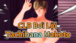 CLB Bơi Lội|【MMD】Những cô gái của Tachibana Makoto!