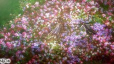 Vân Thâm Bất Tri Mộng - Tập 18 Full HD Vietsub - HH3DVIDEO