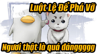 Luật Lệ Để Phá Vỡ| Ngươi thật là quá đánggggg.
